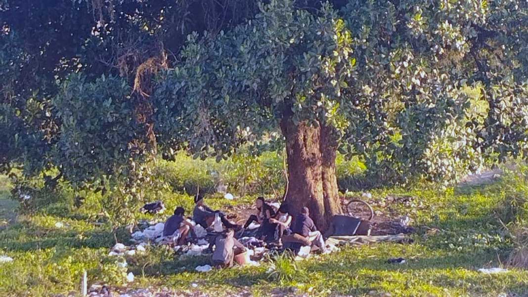 Leitora denuncia presença de pessoas em situação de rua e dependentes químicos em terreno na Marginal