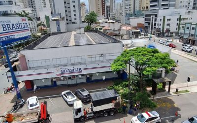 Ministério Público investigará cortes de árvores por parte da Secretaria de Obras de Balneário Camboriú