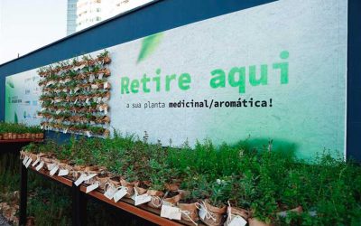 Circuito do Meio Ambiente com distribuição de 1,5 mil mudas de plantas aromáticas em Balneário Camboriú